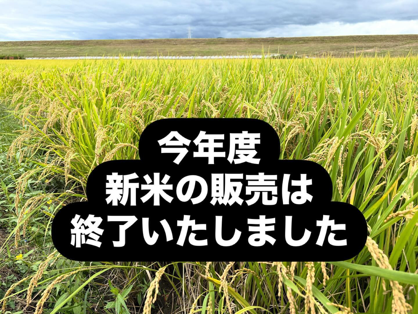 今年度の新米の販売は終了いたしました】 | お知らせ | 太い・甘い・旨いアスパラガス農家｜京都府京田辺市 古川農園