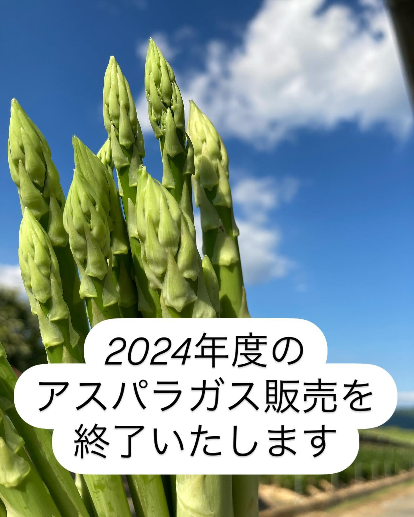 【2024年度のアスパラガス販売を終了いたします】