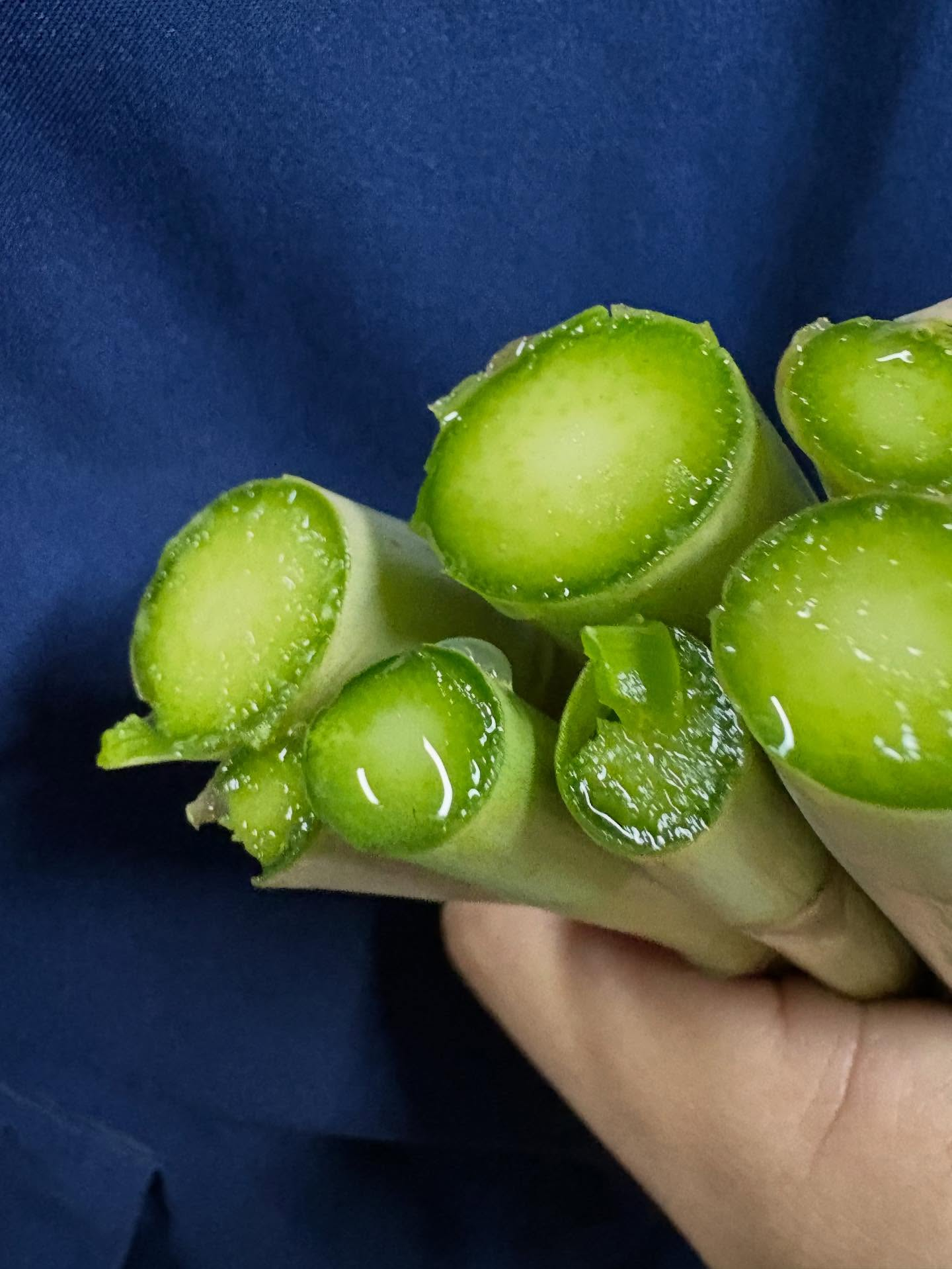 2025年大晦日、皆様にとってどんな1年だったでしょうか？