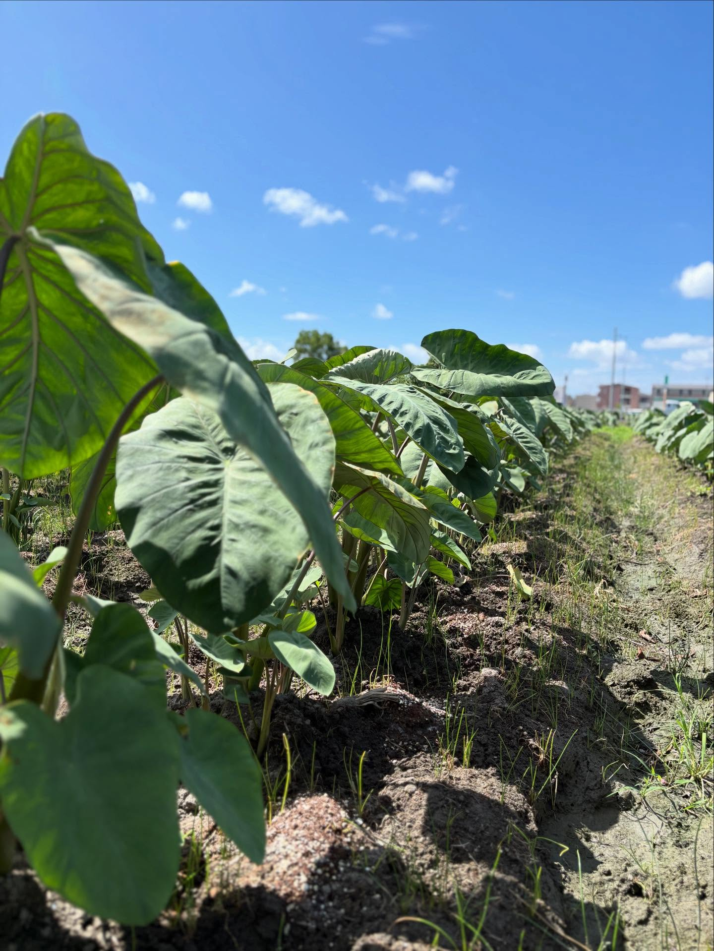 2025年大晦日、皆様にとってどんな1年だったでしょうか？