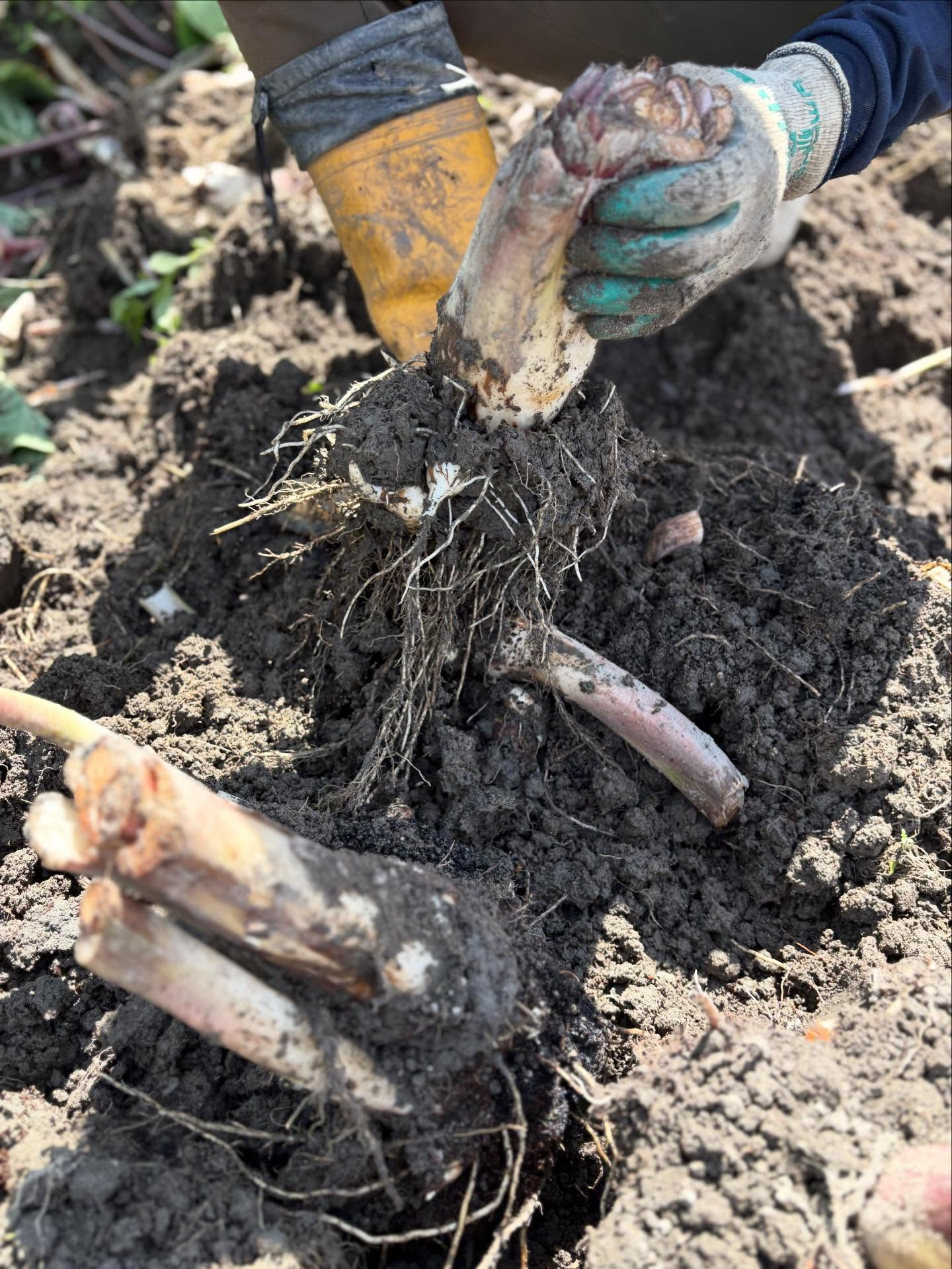 2025年大晦日、皆様にとってどんな1年だったでしょうか？