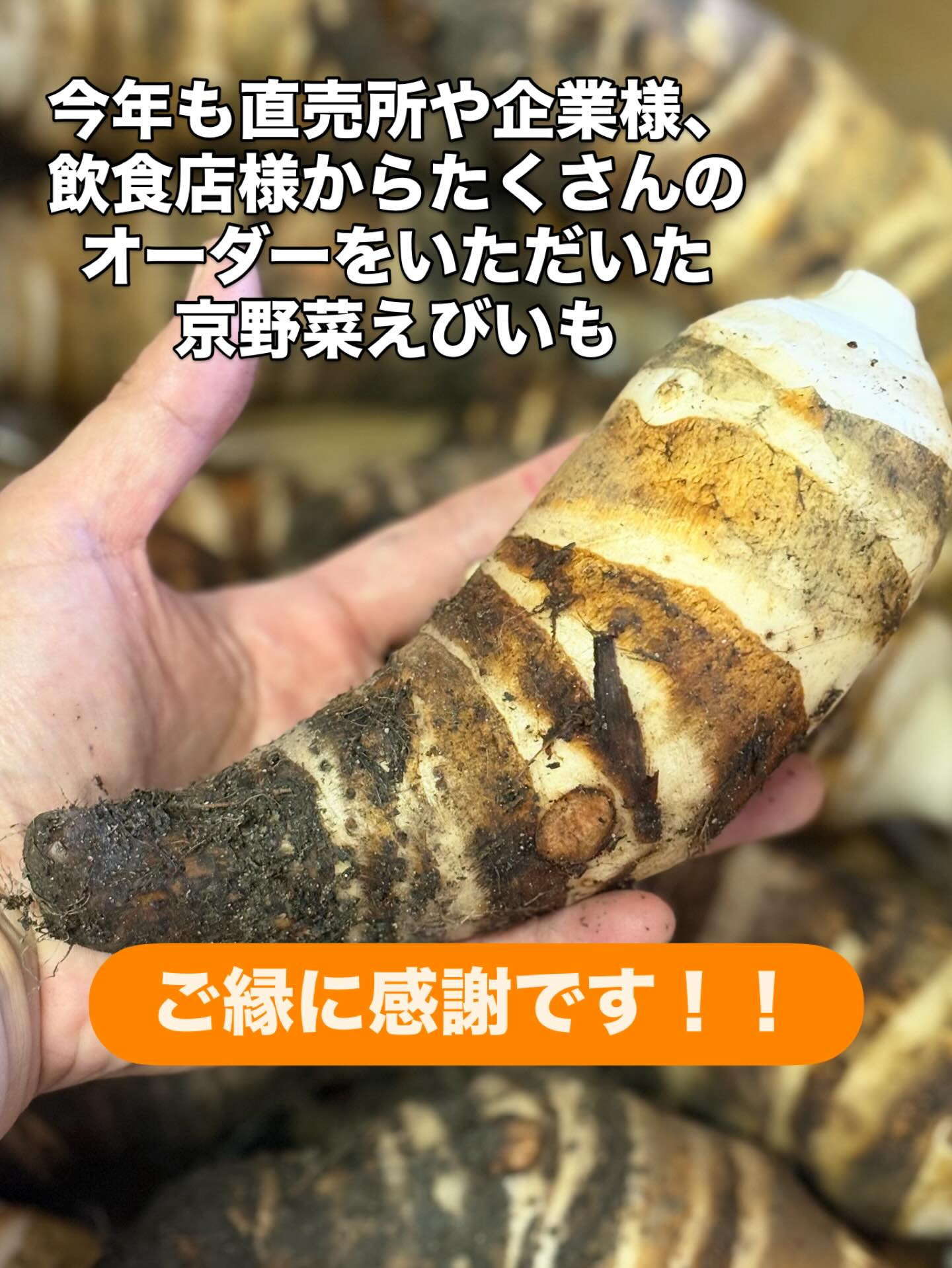 2025年大晦日、皆様にとってどんな1年だったでしょうか？