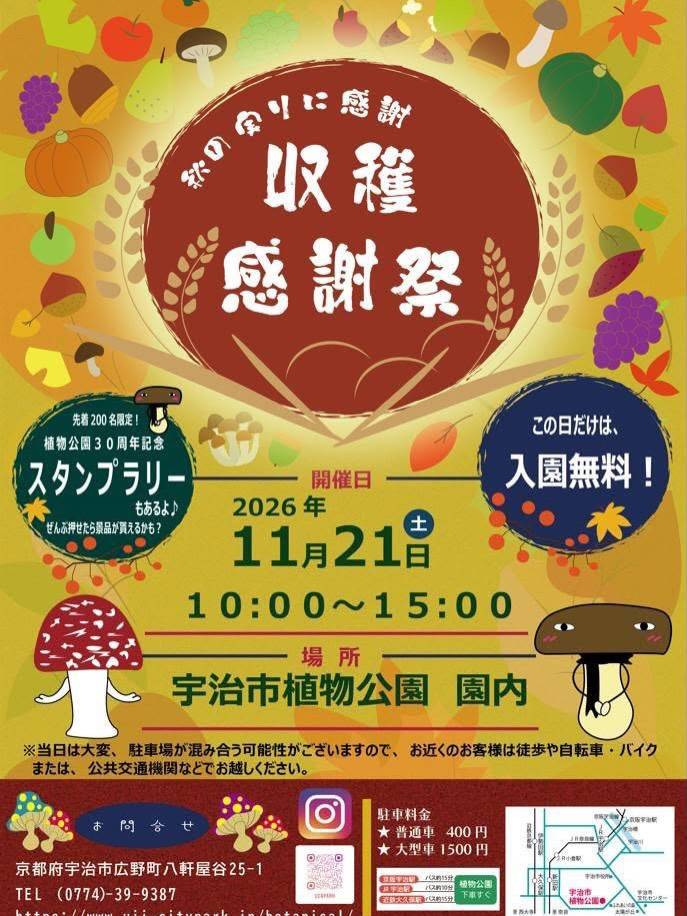 今年も古川農園栽培の京野菜えびいもが買えます！
